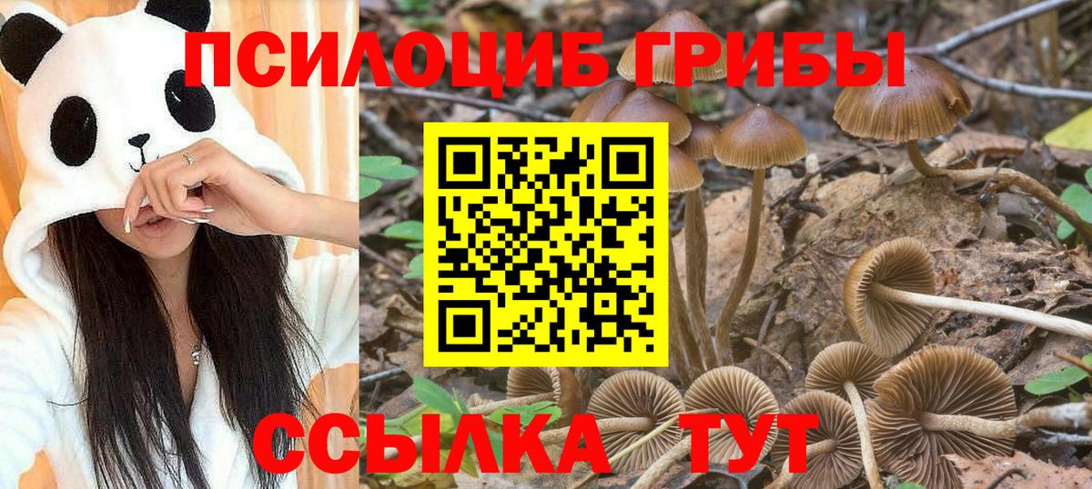 Псилоцибиновые грибы Magic Shrooms Славгород